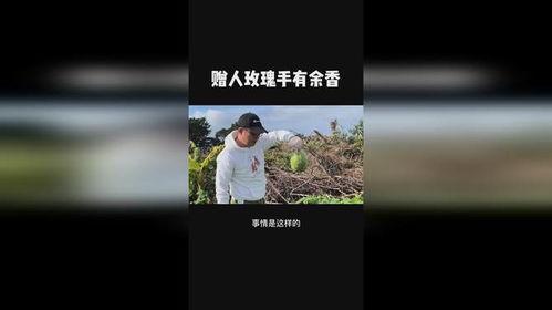 vlog吃不动瓜视频,吃瓜达人挑战极限，却意外吃不动瓜