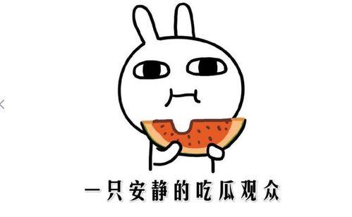 吃瓜说法,吃瓜群众眼中的明星幕后故事