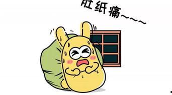 吃瓜群众傻瓜呆瓜,揭秘网络热词背后的趣味与思考