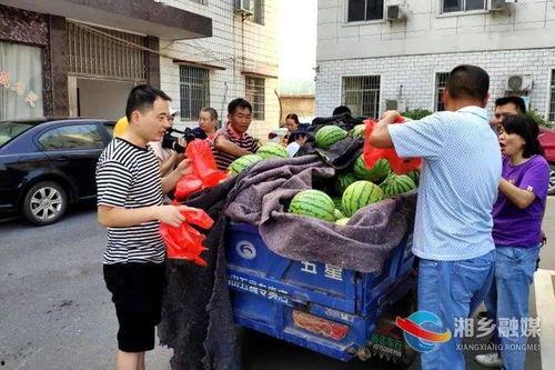 湘乡吃瓜事件视频最新,一场引发热议的街头冲突瞬间回顾