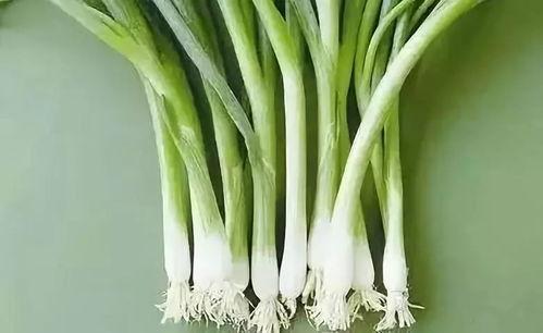 小明吃葱瓜,一场味蕾的奇妙之旅