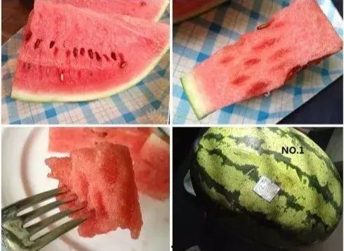 木木墩吃瓜,木木墩的瓜田奇遇记