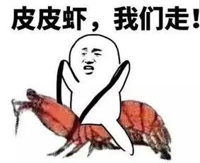 吃瓜南航,揭秘航空业背后的趣味故事