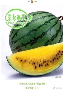 全球吃瓜联盟,揭秘娱乐圈幕后风云