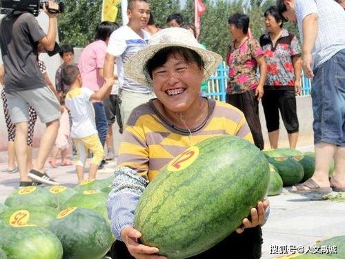 重庆沙河公园吃瓜,悠闲生活新体验