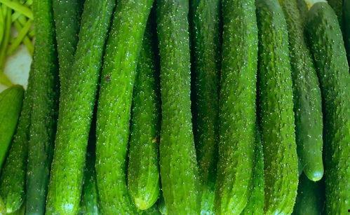 可以炒菜吃的瓜,瓜类食材的多样烹饪技巧