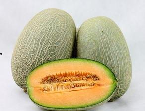 哈密瓜怎么花着吃,花式吃法解锁夏日美味新境界