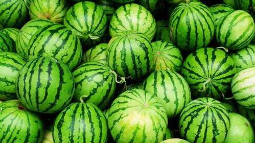 火爆吃瓜5集,揭秘五集剧情高潮迭起