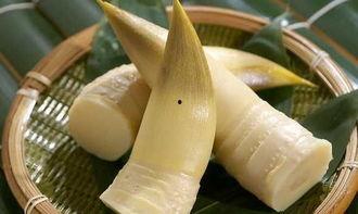 吃竹笋可以吃籽瓜嘛,探索两者的美味搭配