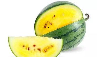 户外吃瓜好吗,夏日清凉好选择