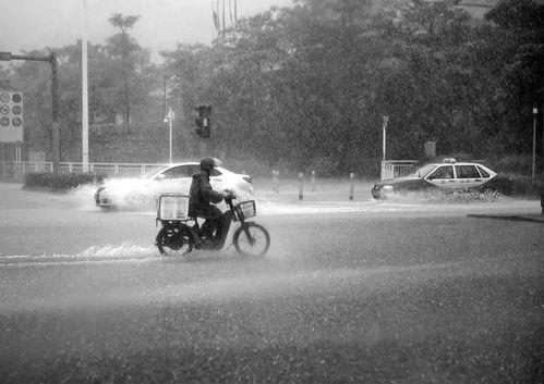 深圳大暴雨吃瓜视频,吃瓜群众捕捉惊心动魄瞬间