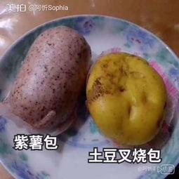 阿瓜吃包子视频,趣味横生美食之旅