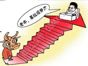 散户吃瓜观望视频,揭秘股市中的“旁观者心态”