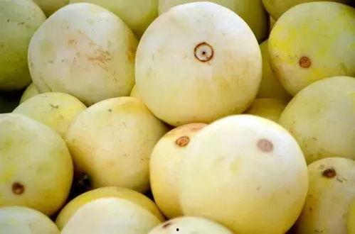 碧梨吃瓜,揭秘娱乐圈背后的真相与八卦