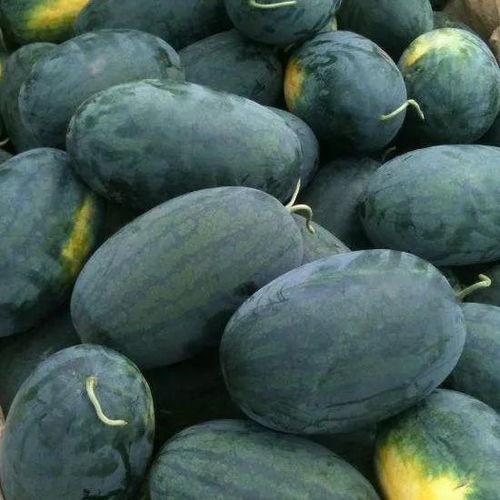 吃瓜玩吗,揭秘明星幕后故事