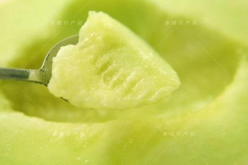 松江最甜的吃瓜,最甜吃瓜之旅