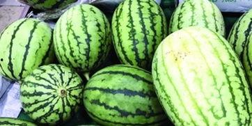 怎么快速吃瓜视频,快速吃瓜视频攻略