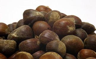 栗子吃星星瓜好吗,美味探索之旅