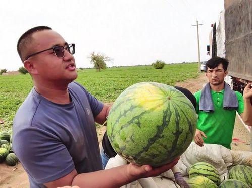 ccd吃瓜,CCD视角下的娱乐圈吃瓜大揭秘