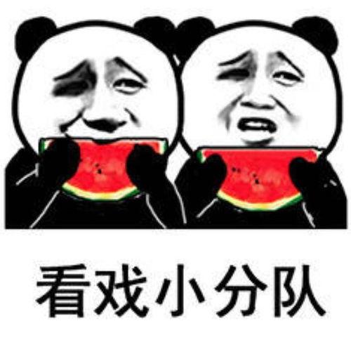 泰国吃瓜表情包,趣味横生的社交文化现象