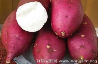 女人常吃土瓜,女性美容养颜的秘密武器