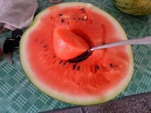 最优雅的吃瓜方式,解锁最优雅的吃瓜姿势