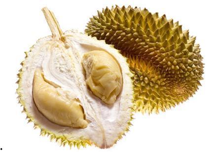 蜜瓜和榴莲可以一起吃吗,探索两者搭配的饮食奥秘