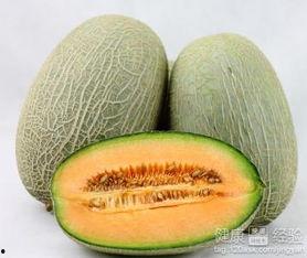 吃鸡子可以吃哈密瓜吗